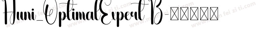Huni_OptimalExpert B字体转换